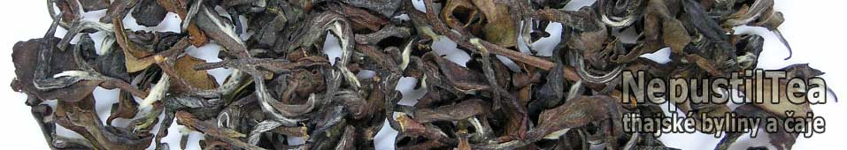 P1010013_NepustilTea.cz_vietnamese_butterfly_tea_nt_b_012